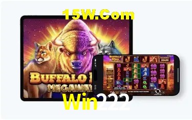 Tecnologia da Plataforma Win222